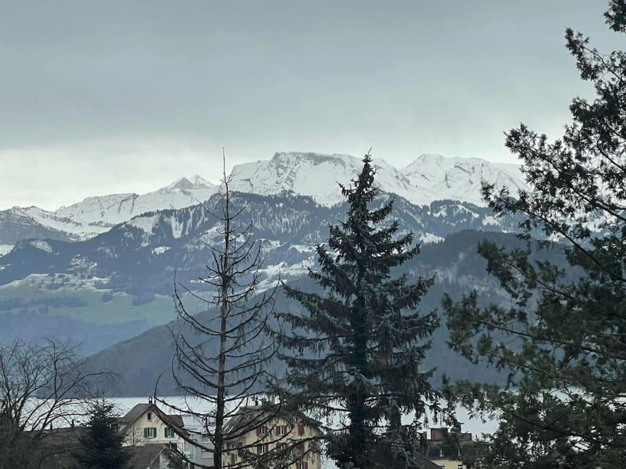 Beautiful Flat With Nice Lake And Mountain Views Weggis Exterior photo
